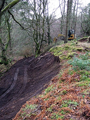 Trail building in Willowglen