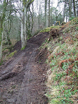 Trail building in Willowglen